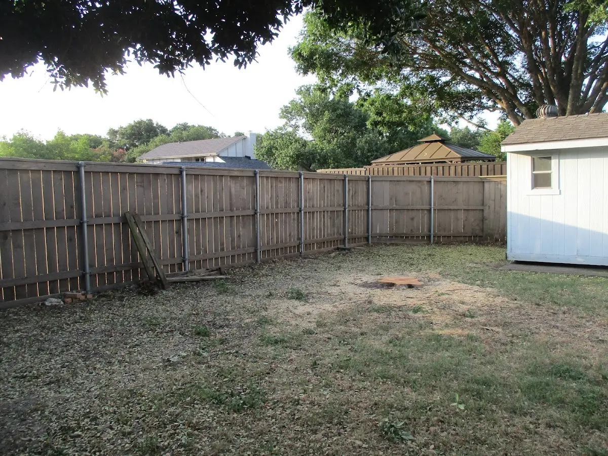 Cleared yard after professional tree removal in Crescent City